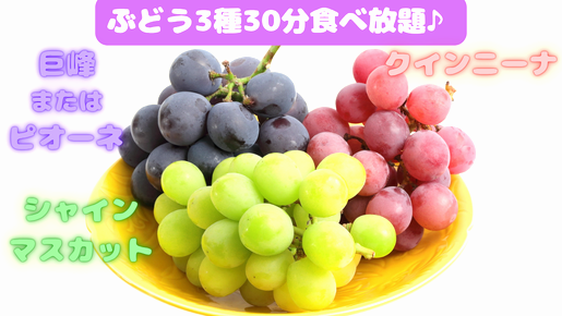 <Web割対象商品>【キングツアーバス旅】秋の味覚!ぶどう3種食べ放題と松茸づくしの昼食&箱入り松茸3本お持ち帰り♪ノスタルジックな廃線跡大日影トンネル〔新宿・吉祥寺発〕1